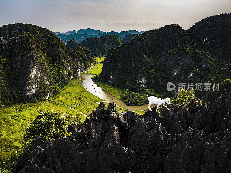 越南宁平的喀斯特地层和稻田