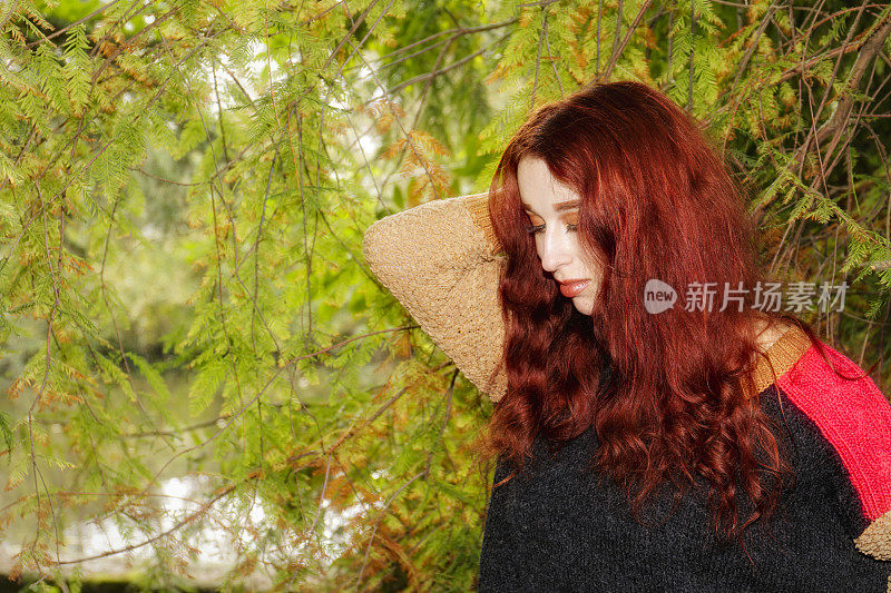红发英秋户外女孩倚红杉树叶