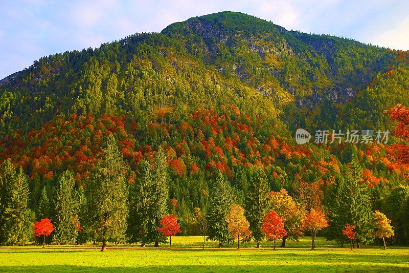 阿尔卑斯山景观在奥地利Tirol，附近Karwendel山脉和巴伐利亚阿尔卑斯山在德国-雄伟的高山景观在金色的秋天，戏剧性的Tyrol雪山全景和田园式的Tirol草地，奥地利