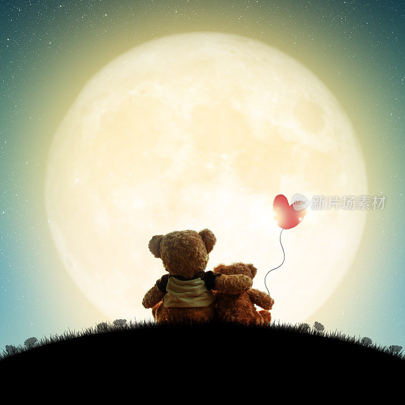 情侣们喜欢在星空下拥抱泰迪熊(无品牌)，这是爱的概念