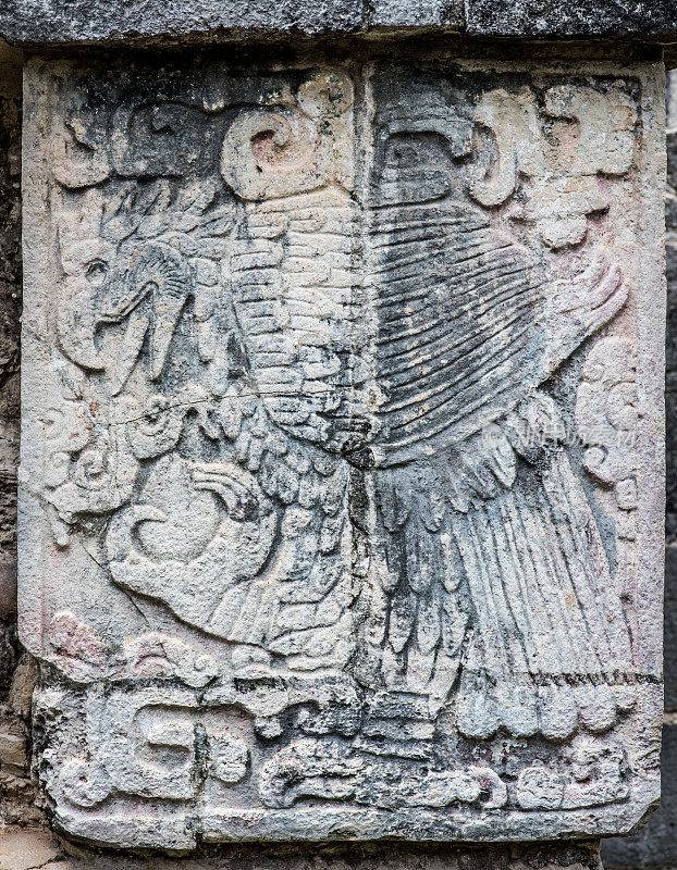 在奇琴伊察的玛雅废墟上，老鹰正在吃人的心脏石雕
