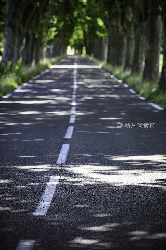 乡村景观中的道路