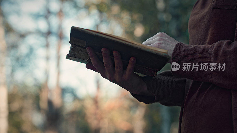 在森林里读书的女人