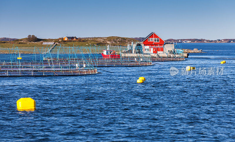 种植鲑鱼的挪威渔场