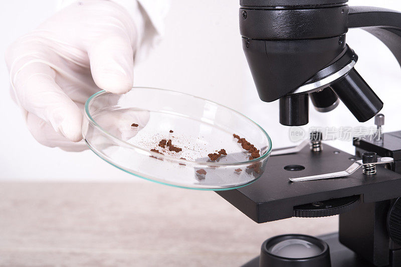 将培养皿放在显微镜台上的科学家