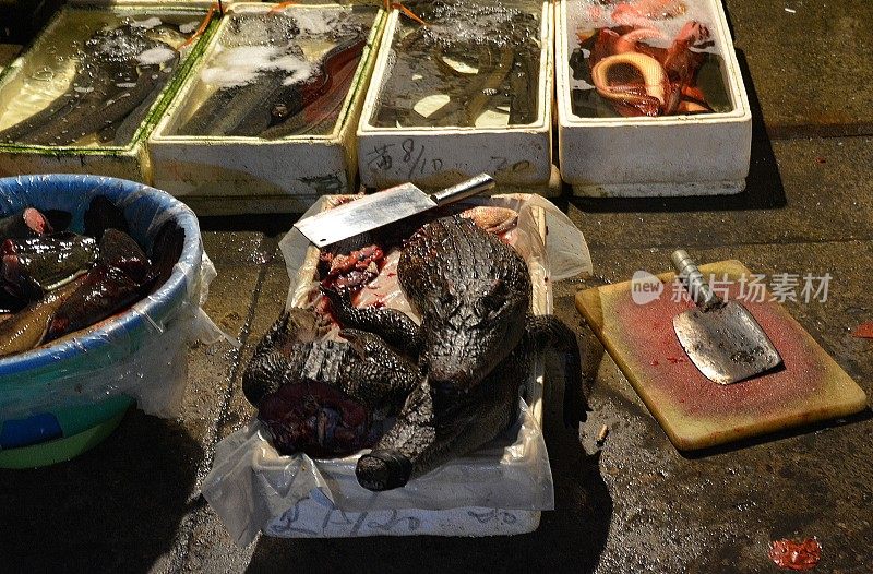 中国福建省厦门夜市上出售的鳄鱼肉和新鲜的鱼