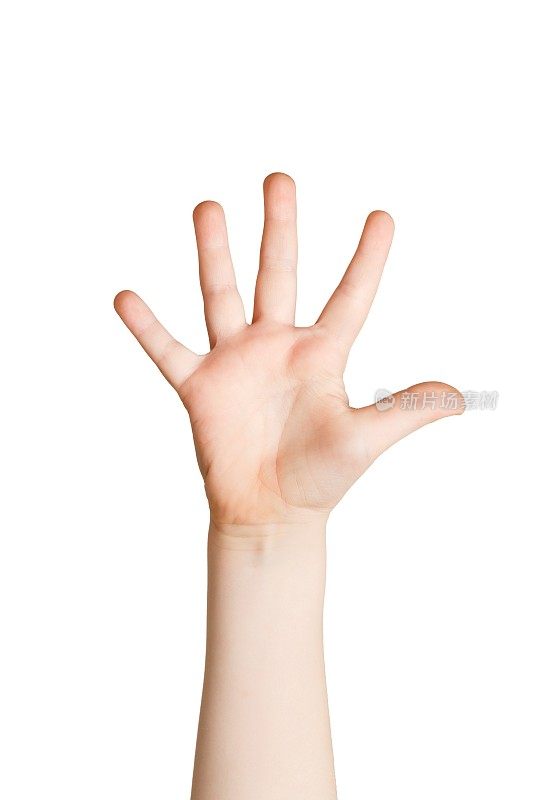 小孩的手在白色的背景上显示五号