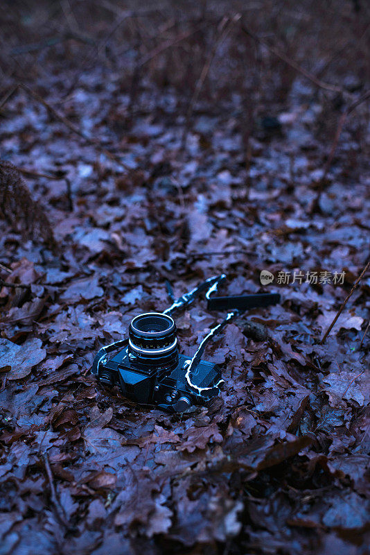 老式单反相机躺在秋天的森林里。
