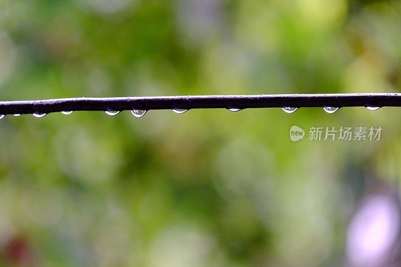 在雨天，在模糊的绿色自然背景下，一排许多雨滴在黑色缆线上
