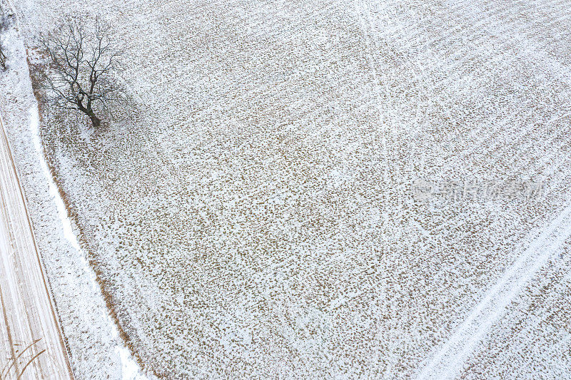农田下着雪。无人机俯视图
