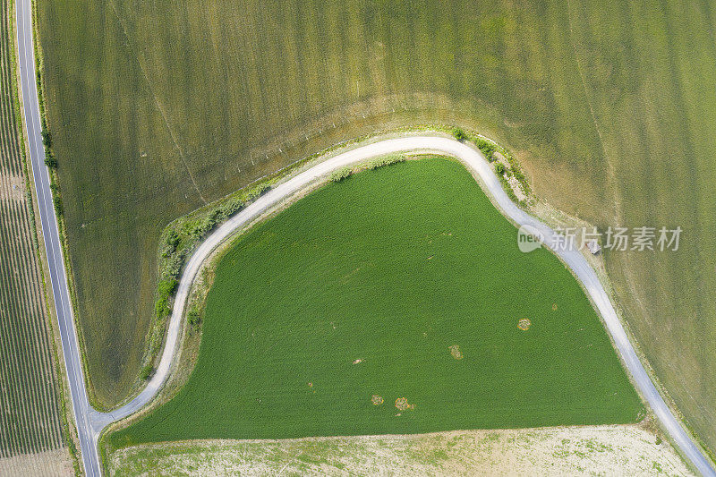 鸟瞰图的乡村道路基安蒂地区，托斯卡纳，意大利