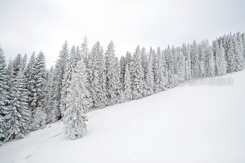 冬季喀尔巴阡雪山的景色