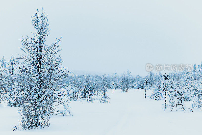 北极拉普兰冬季景观雪地摩托在芬兰的足迹