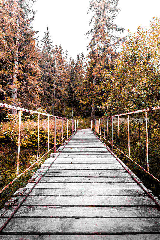 古老的木制人行天桥通向野生森林