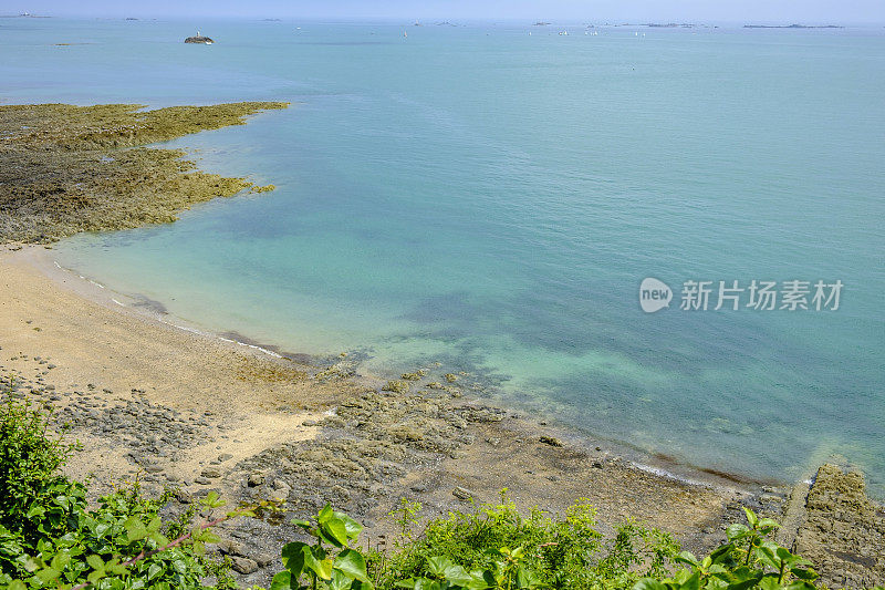 在海滩之间的松树，布列塔尼，法国