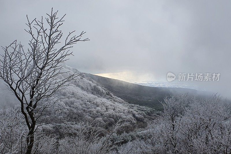 济州岛的第一场雪