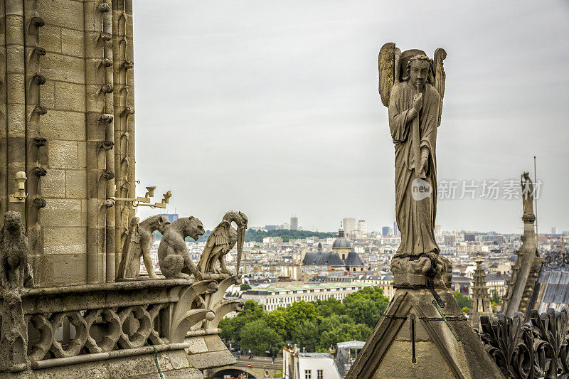 法国巴黎圣母院上的滴水嘴兽