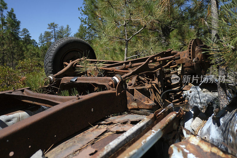 被遗弃在树林里的汽车残骸