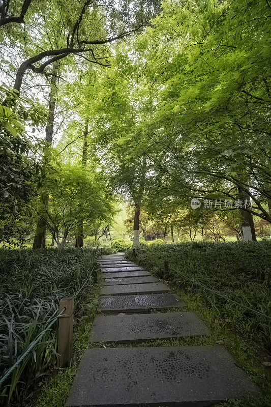 中国杭州西湖边的公园里有草坪和树木