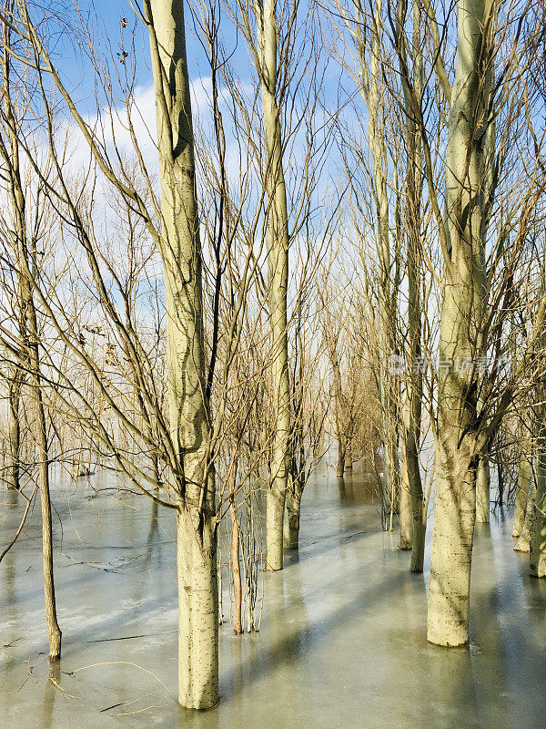 官厅水库国家湿地公园的冬季