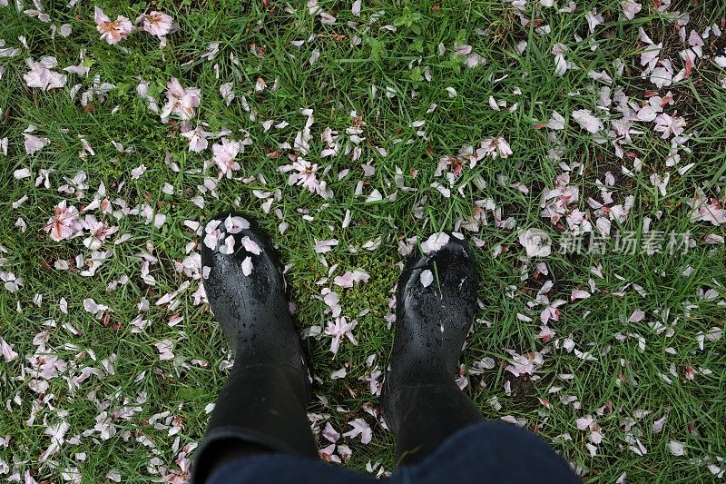 雨靴上的樱花。