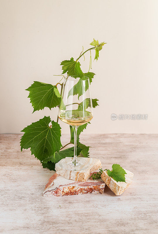 现代葡萄酒的白酒杯，树叶和石头