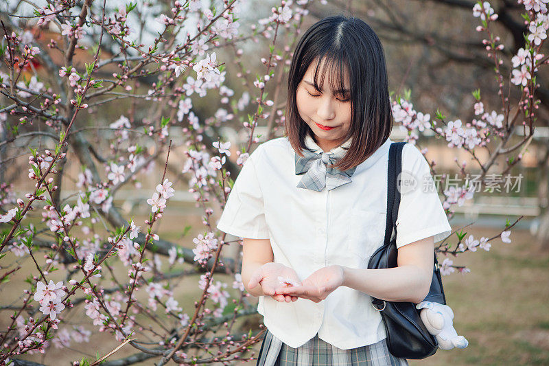 美丽的女孩在公园里欣赏鲜花