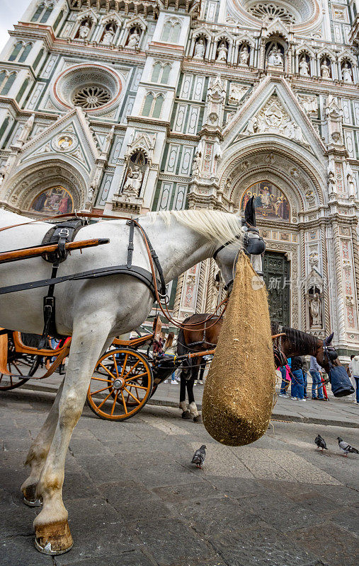 意大利托斯卡纳，佛罗伦萨大教堂广场上的马蹄