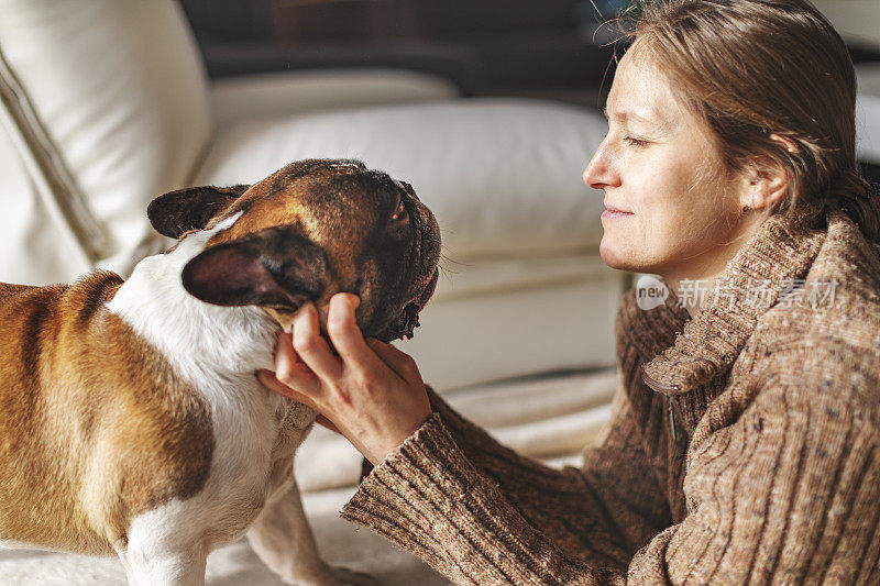 成年女子和她的法国斗牛犬在家里