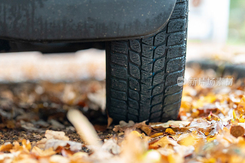 潮湿的秋叶落在汽车轮胎下的柏油路上