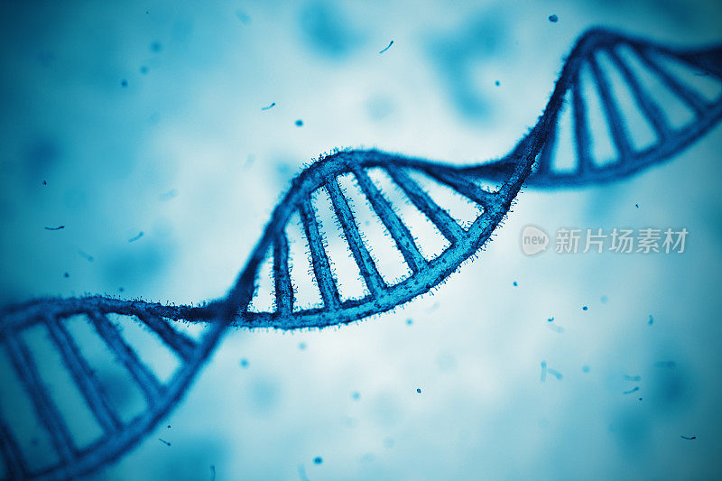 DNA。显微镜幻灯片。蓝色的