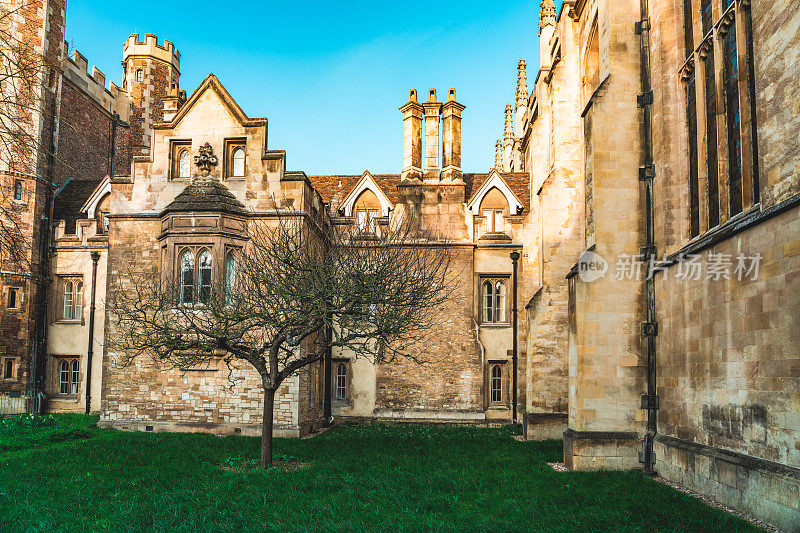 剑桥的三一学院和牛顿苹果树