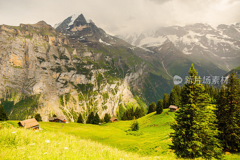 山的风景。Lauterbrunnen。瑞士。伯尔尼州。穆伦村庄。夏天。绿草