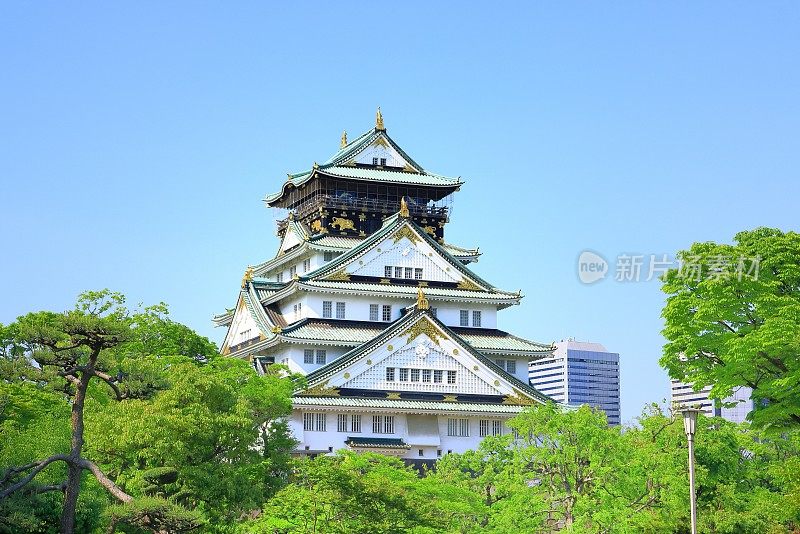 鲜绿的大阪城塔，日本大阪府，大阪