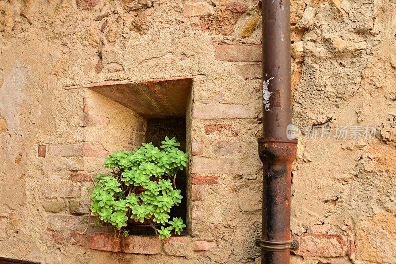 Pienza、意大利