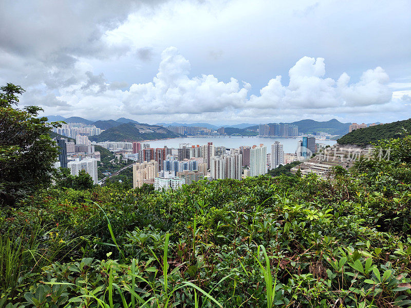 香港岛柴湾市区景观