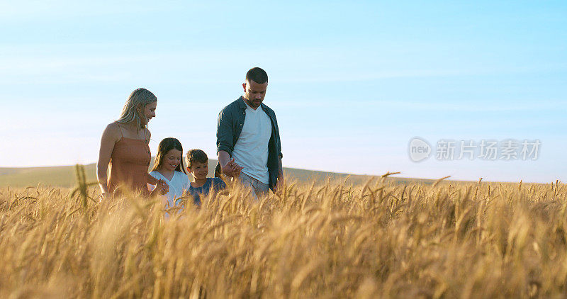 家庭、田野和小麦伴着日出，自由和微笑换来爱和幸福。父母，孩子和乡村的欢乐，乐趣和冒险的假期或假期到南非农场在日落