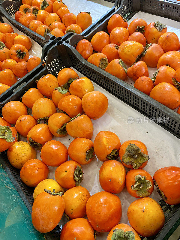 商店柜台上的柿子又香又好吃，超市里卖熟了的桔子柿子。