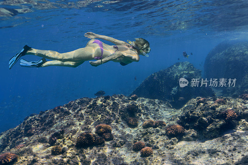 戴着浮潜面具的年轻女子在水下潜水