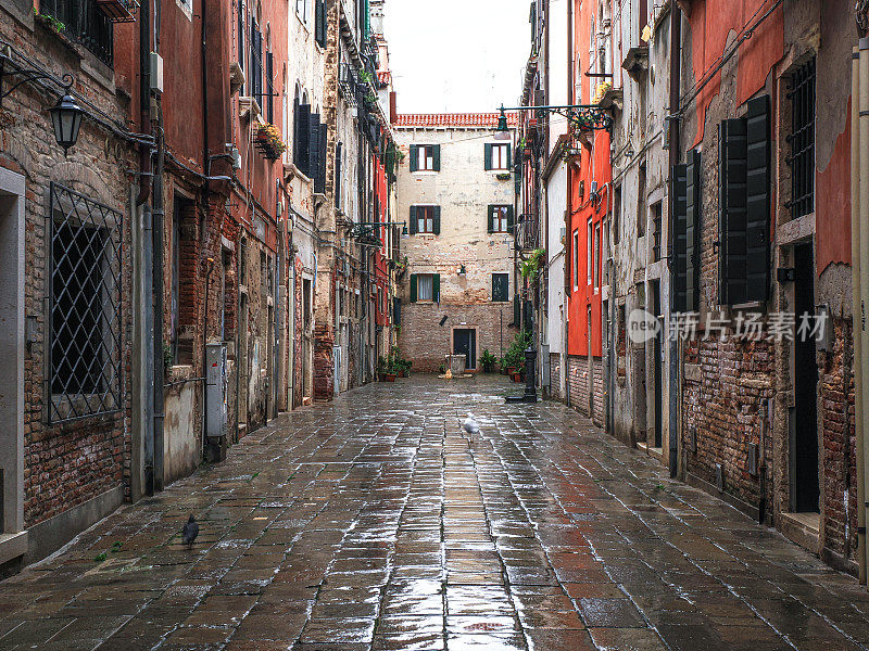 威尼斯雨中的特色景观