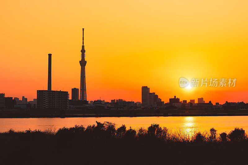 东京天空树的剪影和日落时的东京城市景观