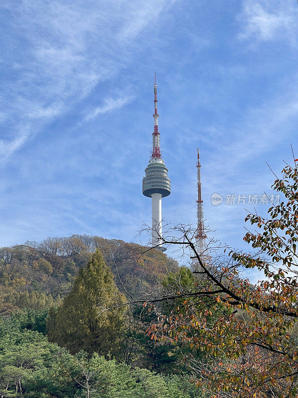 11月首尔南山