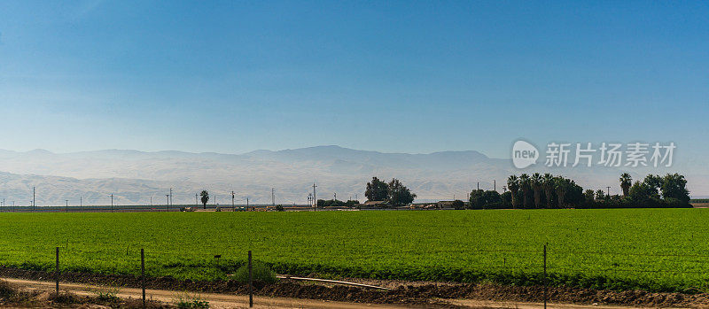 加州99号公路旁的农田，背景是山脉和湛蓝的天空