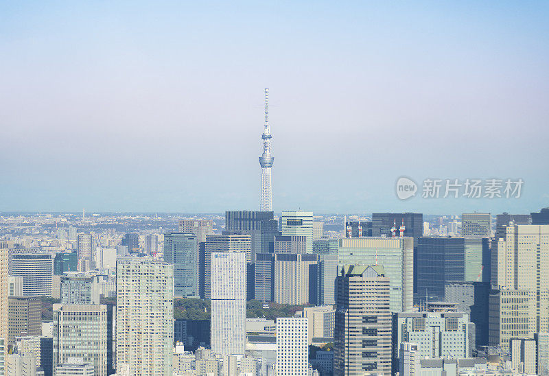 暮色宁静:东京天空树在城市的平静