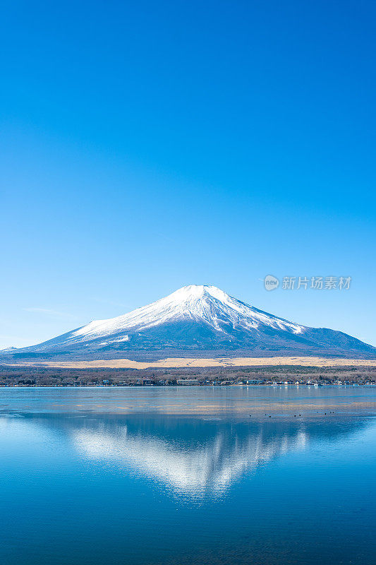 在初冬的清晨，从山中湖看富士山