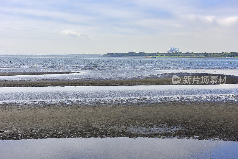 东京湾的潮滩