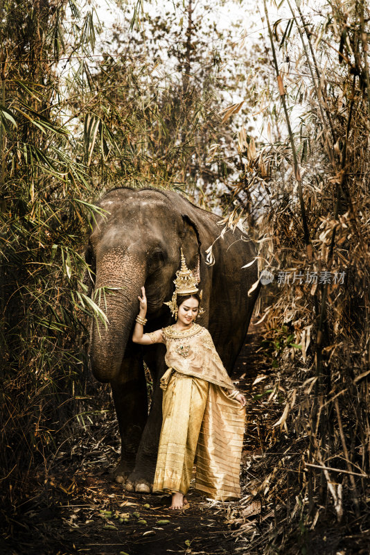 泰国模型和大象