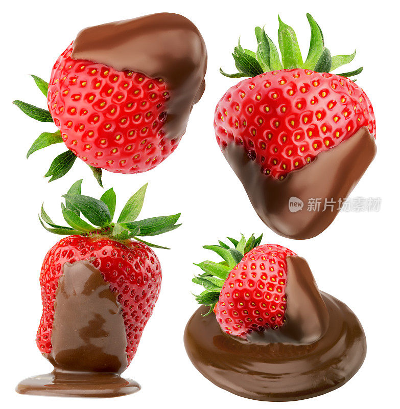收集的草莓在巧克力上孤立的白色ba