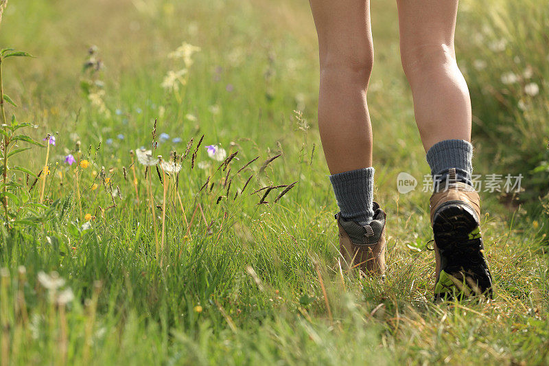 年轻女子徒步旅行者腿行走在草原小径