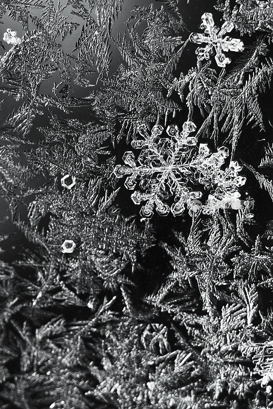 清晨的霜雪落在车窗上